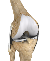 Ligament Injuries